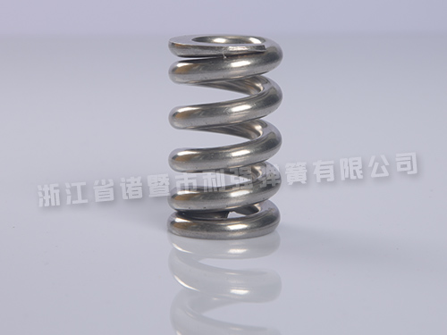 福建不锈钢精密弹簧